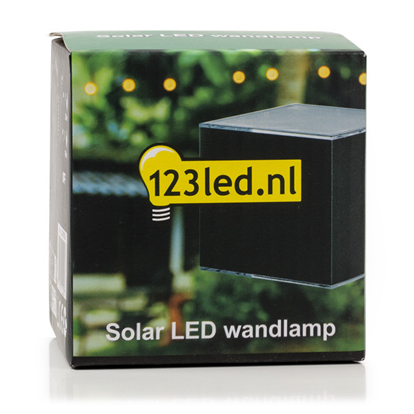 123inkt 123led Solar wandlamp Avon Up & Down zwart SL10-45 LDR08535 - 6