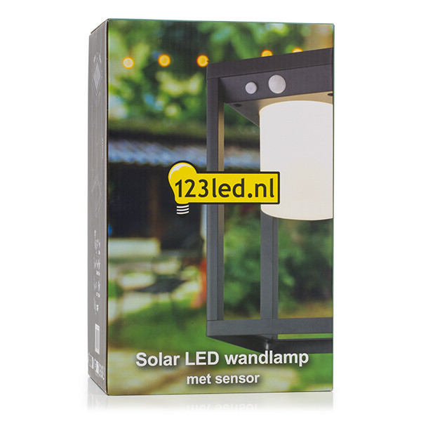 123inkt 123led Solar wandlamp Kingsbridge met sensor KH1972DN LDR08540 - 5