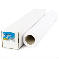 123inkt Standard paper roll 610 mm x 50 m (80 g/m²) C13S045273C Q1396AC 155082
