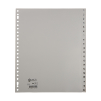 123inkt extra brede plastic tabbladen A4+ met 20 tabs (23-gaats) G420CM-BC 301539