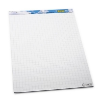 123inkt flipoverblok blanco/ruit 65 x 98 cm (2 x 50 vellen) 300265