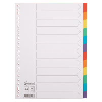 123inkt kartonnen tabbladen A4 gekleurd met 12 tabs (23-gaats) 300536