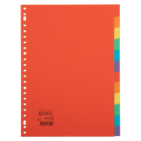 123inkt kartonnen tabbladen A4 gekleurd met 12 tabs (23-gaats) 300532