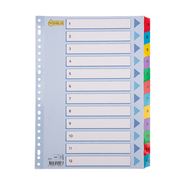 123inkt kartonnen tabbladen A4 met 12 tabs (23-gaats) 100162C 301621 - 1