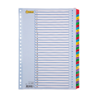 123inkt kartonnen tabbladen A4 met 31 tabs (23-gaats) 301623