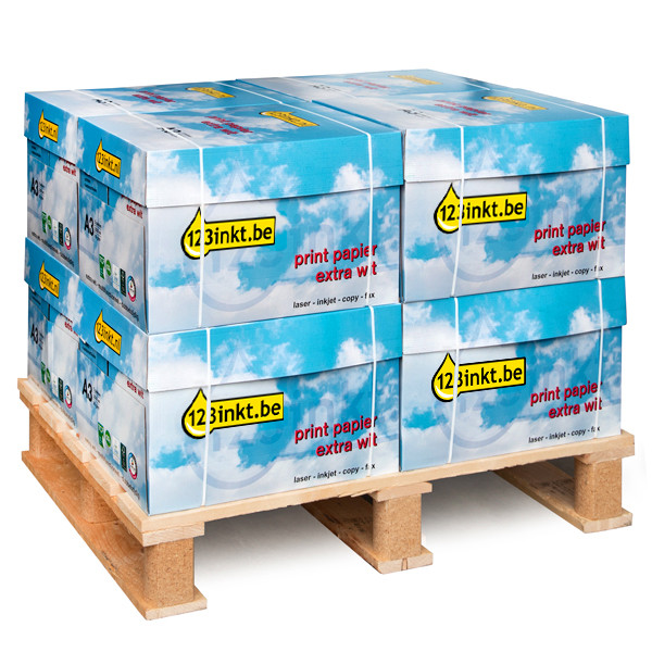 123inkt kopieerpapier mini pallet 8 dozen van 2500 vellen A3 - 80 g/m² 300646 - 1