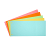 123inkt scheidingsstrook 105 x 240 mm assortiment (500 stuks)