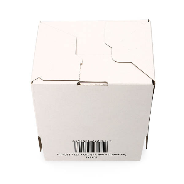123inkt verzenddoos autolock 160 x 123 x 110 mm (10 stuks) 301873 - 6