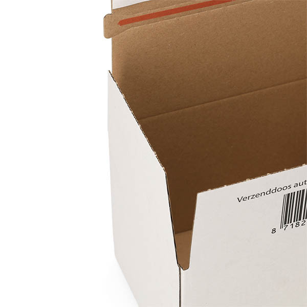 123inkt verzenddoos autolock 160 x 123 x 110 mm (10 stuks) 301873 - 4
