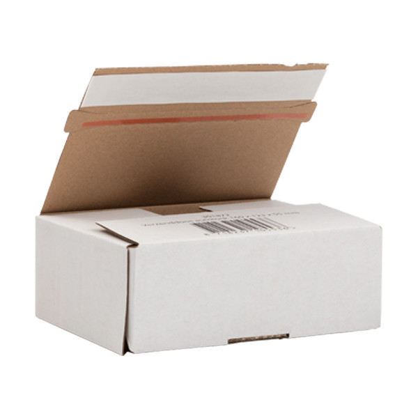 123inkt verzenddoos autolock 160 x 123 x 55 mm (10 stuks) 301872 - 3