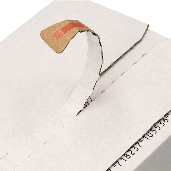 123inkt verzenddoos autolock 160 x 123 x 55 mm (10 stuks) 301872 - 9