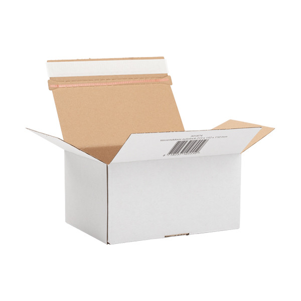 123inkt verzenddoos autolock 215 x 152 x 110 mm (10 stuks) 301874 - 1