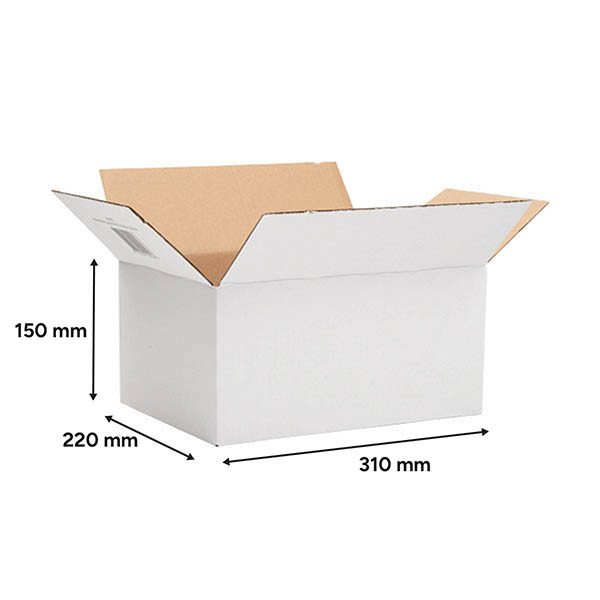 123inkt verzenddoos autolock 310 x 220 x 150 mm (10 stuks) 301875 - 2