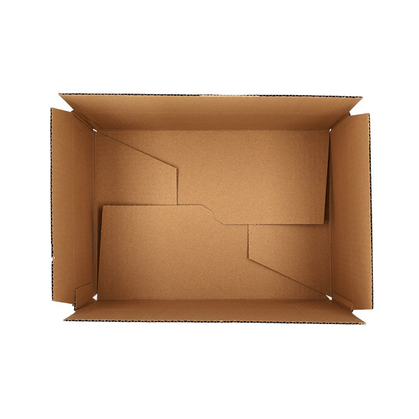 123inkt verzenddoos autolock 310 x 220 x 150 mm (10 stuks) 301875 - 4