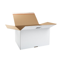 123inkt verzenddoos autolock 430 x 300 x 250 mm (10 stuks) 302633
