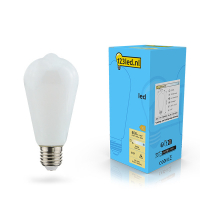 123led E27 ledlamp Edison mat dimbaar 7W (60W) LDR02116