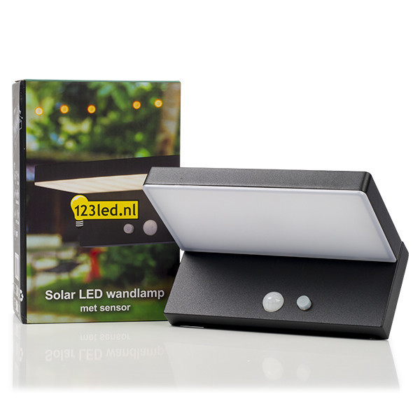 123led Solar wandlamp Greenwich met sensor LDR08543 123led Solar wandlamp Greenwich met sensor LDR08543 - 2