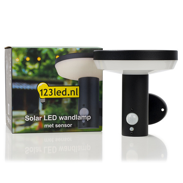 123led Solar wandlamp Notting Hill met sensor LDR08544 123led Solar wandlamp Notting Hill met sensor LDR08544 - 2
