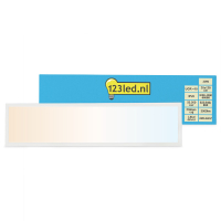 123led paneel 30x120 cm warm wit, helder wit of koud wit | 3000-4000-6000K | 3900 lumen (30W) LDR08714