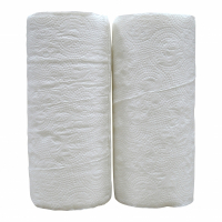123schoon keukenrol 2-laags 2 x 50 vellen 120269 473474 47789C P409132C SDR02031