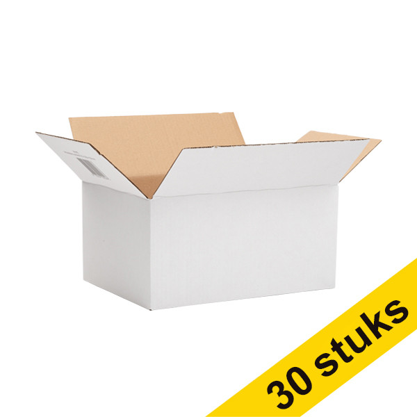 Aanbieding: 3x 123inkt verzenddoos autolock 310 x 220 x 150 mm (10 stuks) 301962 - 1