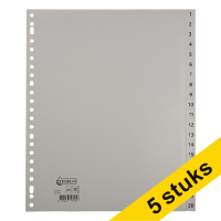 Aanbieding: 5x 123inkt extra brede plastic tabbladen A4+ met 20 tabs (23-gaats)  301889