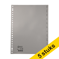 Aanbieding: 5x 123inkt plastic tabbladen A4 grijs met 12 tabs maanden (23-gaats)