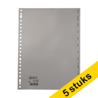 Aanbieding: 5x 123inkt plastic tabbladen A4 grijs met 12 tabs maanden (23-gaats)  301718