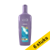 Aanbieding: 6x Andrélon shampoo 2-in-1 voor ieder haartype (300 ml)