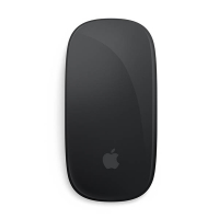 Apple Magic Mouse draadloos zwart 828673
