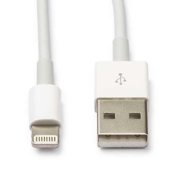 Koppeling Uitgebreid tactiek Apple iPhone Lightning oplaadkabel wit (2 meter) Apple 123inkt.be