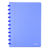 Atoma Trendy geruit schrift A4 transparant blauw 72 vellen (4 x 8 mm)