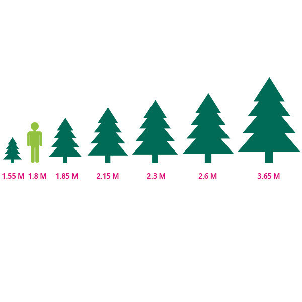 Black Box Trees kunstkerstboom Ague 1,85 meter K151100055 - 4
