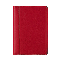 Brepols Delta Palermo weekagenda 2027 rood (1 week per 2 pagina's) 6-talig 440332