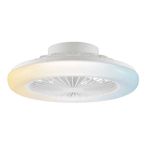 Plafondventilator met ledlamp | Montero | Ø 42 cm | 2700-6500K | Wit | 20W | Brilliant LBR00010 - 1