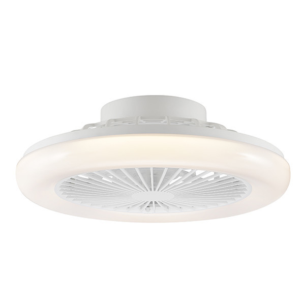 Plafondventilator met ledlamp | Montero | Ø 42 cm | 2700-6500K | Wit | 20W | Brilliant LBR00010 - 2
