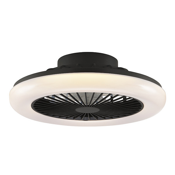Plafondventilator met ledlamp | Montero | Ø 42 cm | 2700-6500K | Zwart | 20W | Brilliant LBR00011 - 2