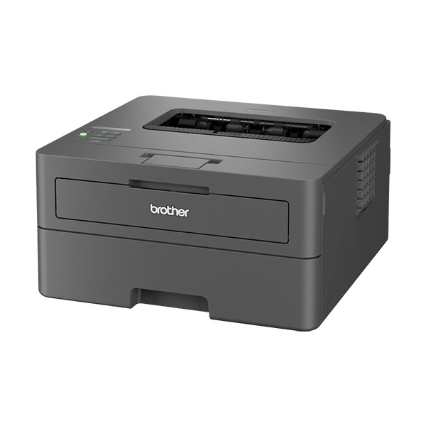 Brother HL-L2447DW A4 laserprinter zwart-wit met wifi HLL2447DWRE1 846882 - 2
