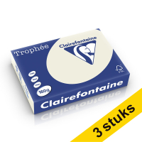 Aanbieding: 3x Clairefontaine gekleurd papier parelgrijs 160 g/m² A4 (250 vellen)