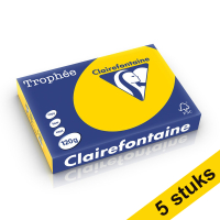 Aanbieding: 5x Clairefontaine gekleurd papier goudgeel 120 g/m² A4 (250 vellen)
