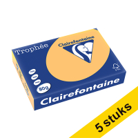 Aanbieding: 5x Clairefontaine gekleurd papier goudgeel 80 g/m² A4 (500 vellen)