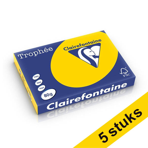 Aanbieding: 5x Clairefontaine gekleurd papier goudgeel 80 g/m² A4 (500 vellen) 250405 - 1