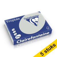 Aanbieding: 5x Clairefontaine gekleurd papier lichtgrijs 120 g/m² A4 (250 vellen)