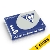 Aanbieding: 5x Clairefontaine gekleurd papier lichtgrijs 80 g/m² A4 (500 vellen)