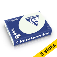 Aanbieding: 5x Clairefontaine gekleurd papier lichtgroen 80 g/m² A4 (500 vellen)