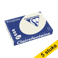 Aanbieding: 5x Clairefontaine gekleurd papier parelgrijs 120 g/m² A4 (250 vellen)