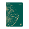 Clairefontaine Forever Premium notitieboek A4 gelijnd 48 vellen dennengroen 684661C 250453 - 1