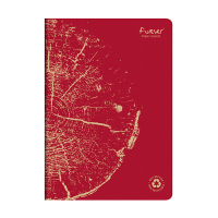Clairefontaine Forever Premium notitieboek A4 gelijnd 48 vellen rood 684663C 250455