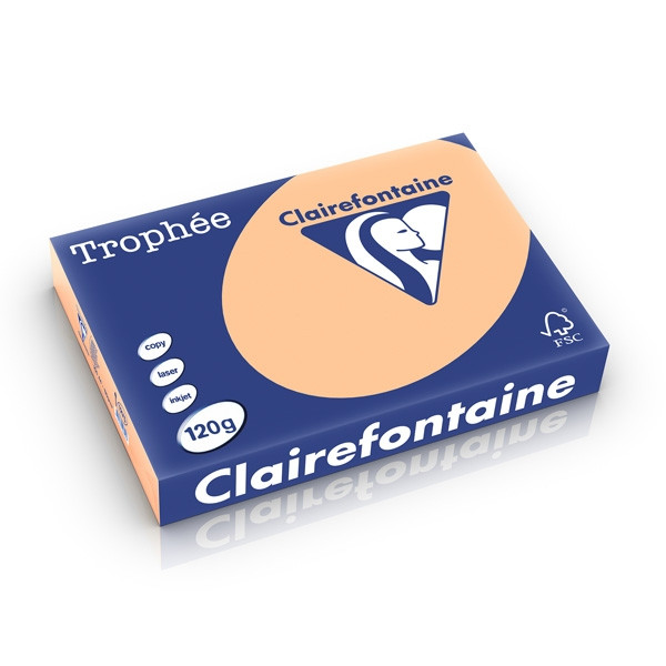 Clairefontaine gekleurd papier abrikoos 120 g/m² A4 (250 vellen) 1275C 250197 - 1