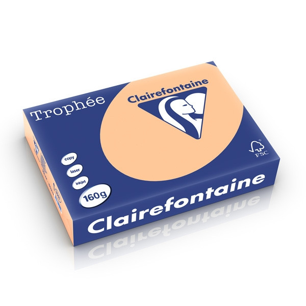 Clairefontaine gekleurd papier abrikoos 160 g/m² A4 (250 vellen) 1011C 250237 - 1